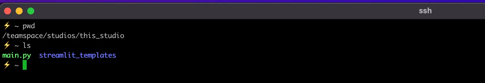 Successful connection to the Lightning Studio on Mac or Linux