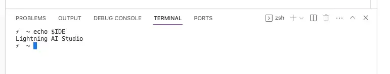 Use an environment variable inside your terminal