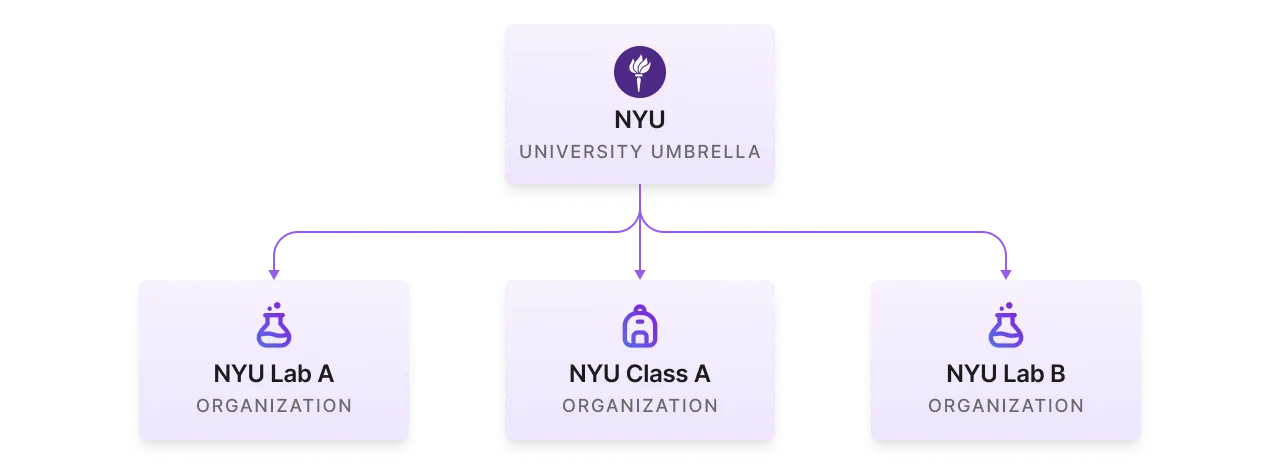 Group organizations under a single university umbrella.