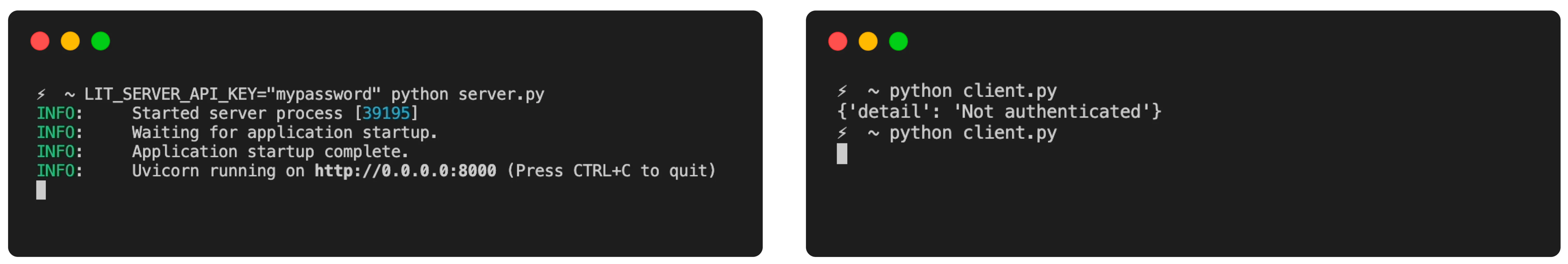 An example of server and client side LitServe authentication.